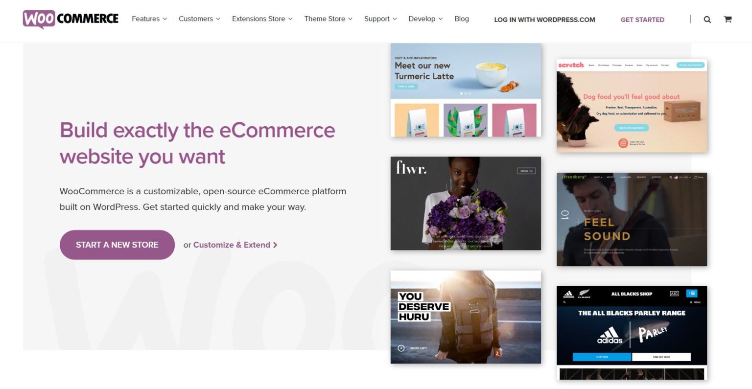 WooCommerce's wesbite homepage
