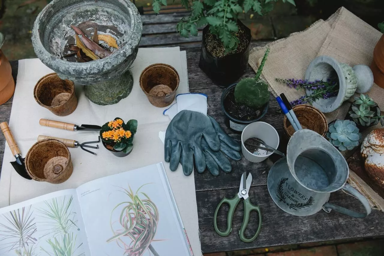 table full of garden equipment like gardening gloves, loppers, and a trowel