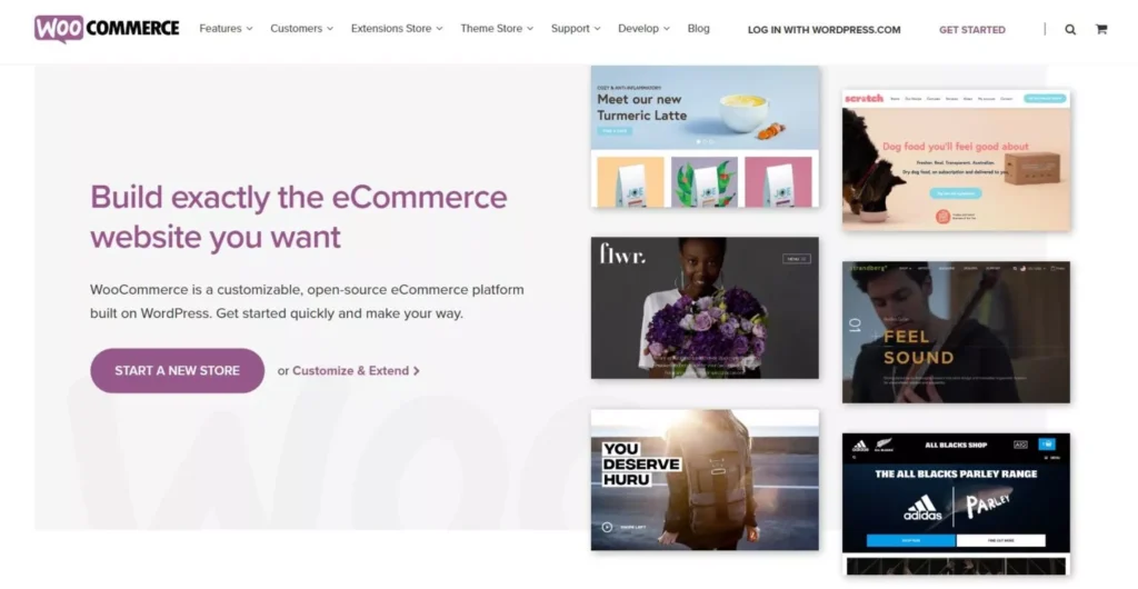 homepage of WooCommerce website