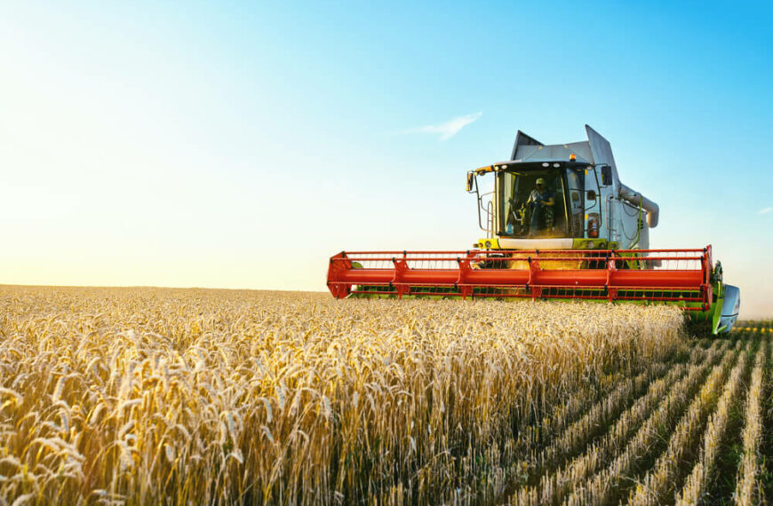 harvester machine harvesting wheat