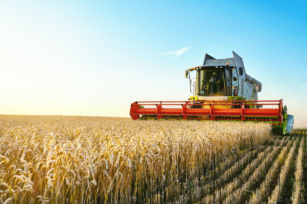 harvester machine harvesting wheat