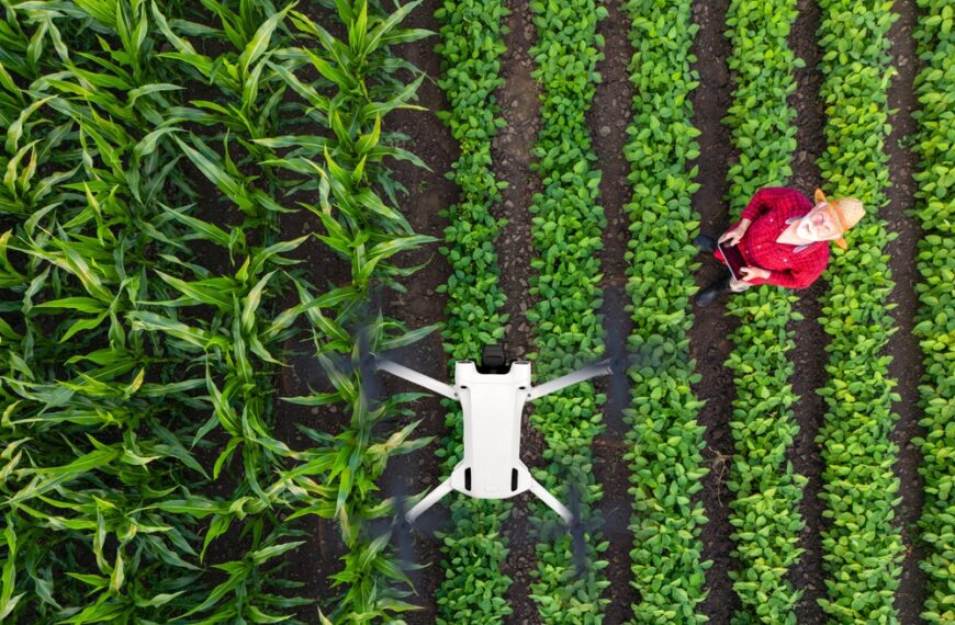 top view of farmer operating farm drone hovering over crops