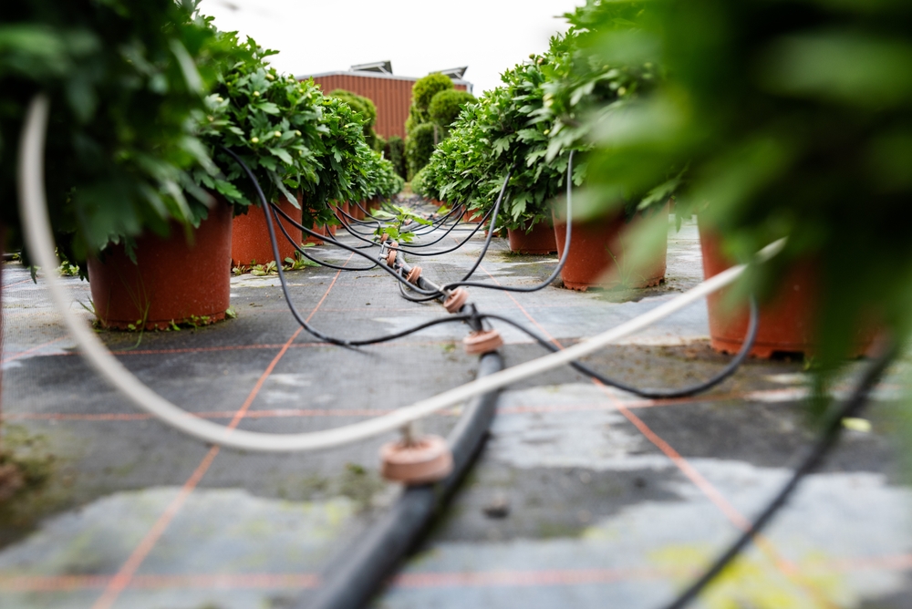 Concept of commercial irrigation system supplying multiple water lines